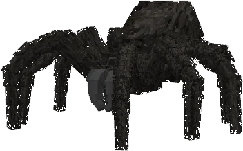 Shelob - droite